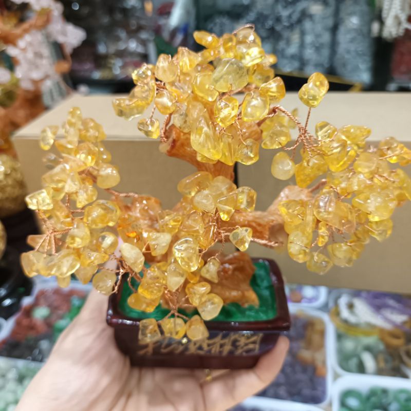 Cây đá màu vàng hút tài lộc, cây tài lộc để bàn thờ Thần tài, quầy thu ngân, két sắt, bàn làm việc, sưu tầm