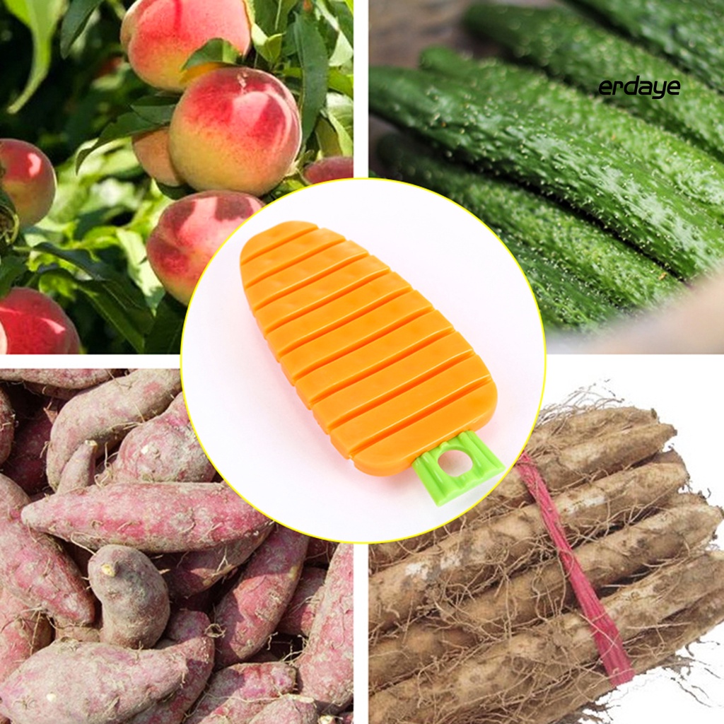 Bàn Chải Vệ Sinh Rau Củ Quả Tiện Lợi