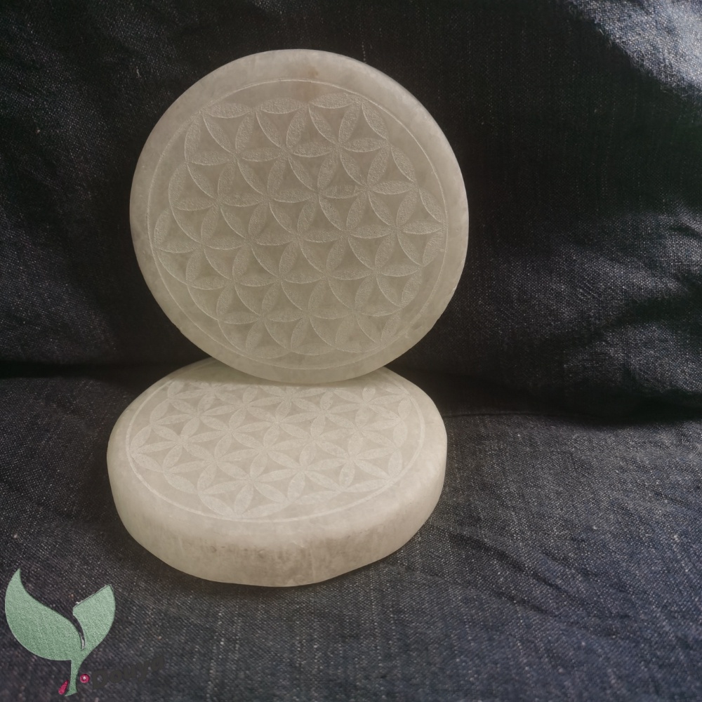 Đĩa Sạc In Hình Hoa Màu Trắng 10Cm