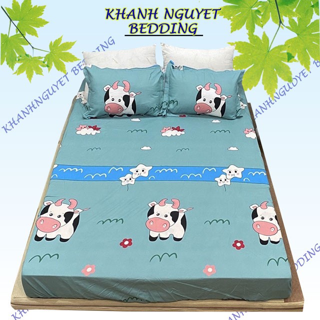 Bộ drap giường cotton K'home ga giường kèm 2 áo gối màu sắc trẻ trung