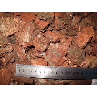 1kg VỎ THÔNG TRỒNG LAN
