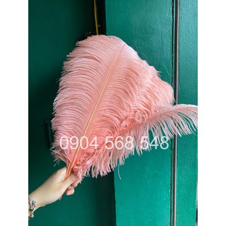 Lông đà điểu hồng pastel,  lông vũ trang trí tiệc Gatbsy