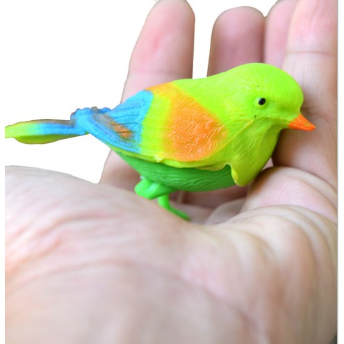 Chim sẻ biết hót