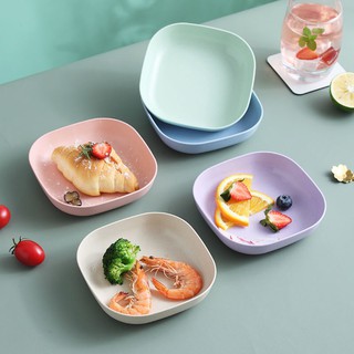 Set đĩa nhựa lúa mạch siêu rẻ
