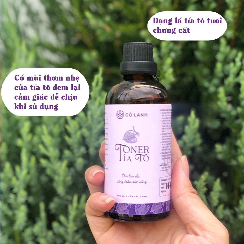 Toner tía tô hữu cơ - Hydrosol Tía tô