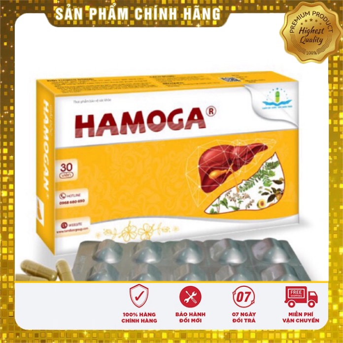 [Chính Hãng] HAMOGA- thanh nhiệt, giải độc gan, hạ men gan, giảm cholesterol - Hộp 30 viên