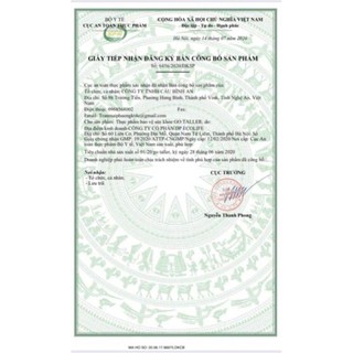 Go Taller Cầu Bình An cùng con cao lớn hộp 40 ống