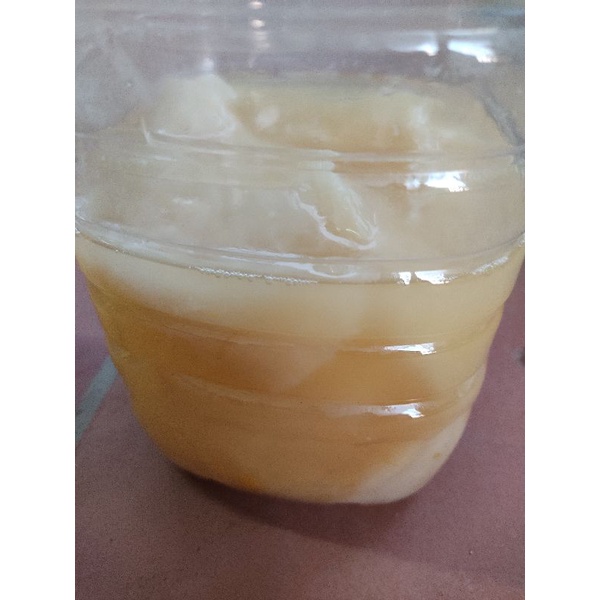 Con Giấm  Nuôi Dày Mập Ú THANH THANH