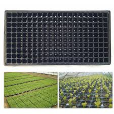 Khay nhựa ươm cây giống loại 200 lỗ set 15 khay