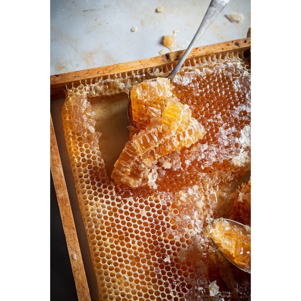 [TRỢ GIÁ] 3 lít mật ong nguyên chất 100% - Cam kết mật ong nguyên chất - Hoàn tiền nếu không hài long - Mavica