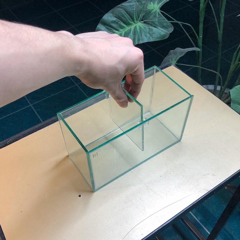 Keo betta 2 ngăn D20xR10xC12cm tấm ngăn có thể tháo rời