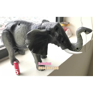 Voi chạy pin - có đèn - voi đồ chơi