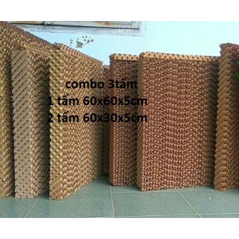 Combo 3 Tấm làm mát Cooling Pad