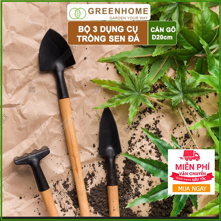 2 bộ Dụng cụ làm vườn mini, 3 món tiện lợi, chuyên dụng trồng Sen đá ,cán gỗ |Greenhome