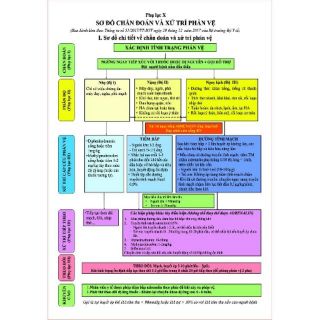 Phác Đồ Sơ Cứu Cấp Cứu - Chống Sốc Phản vệ (đủ 2 mặt A-B, bóc dán tường, khổ A2: 42x60cm )