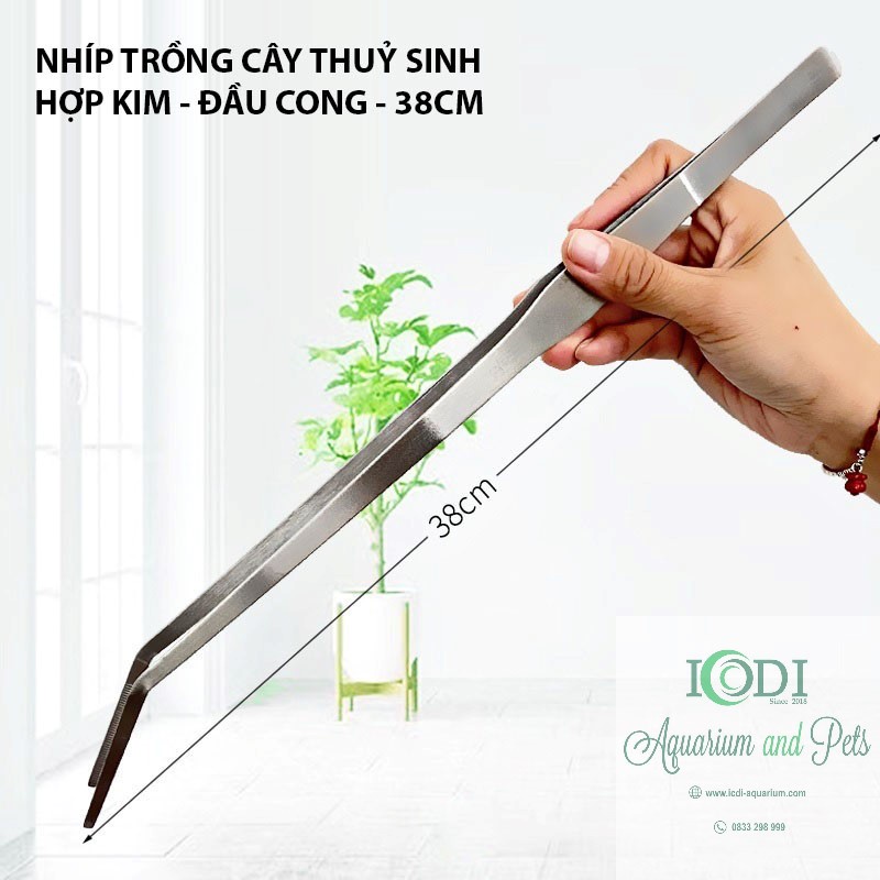 Nhíp trồng cây cho bể thủy sinh
