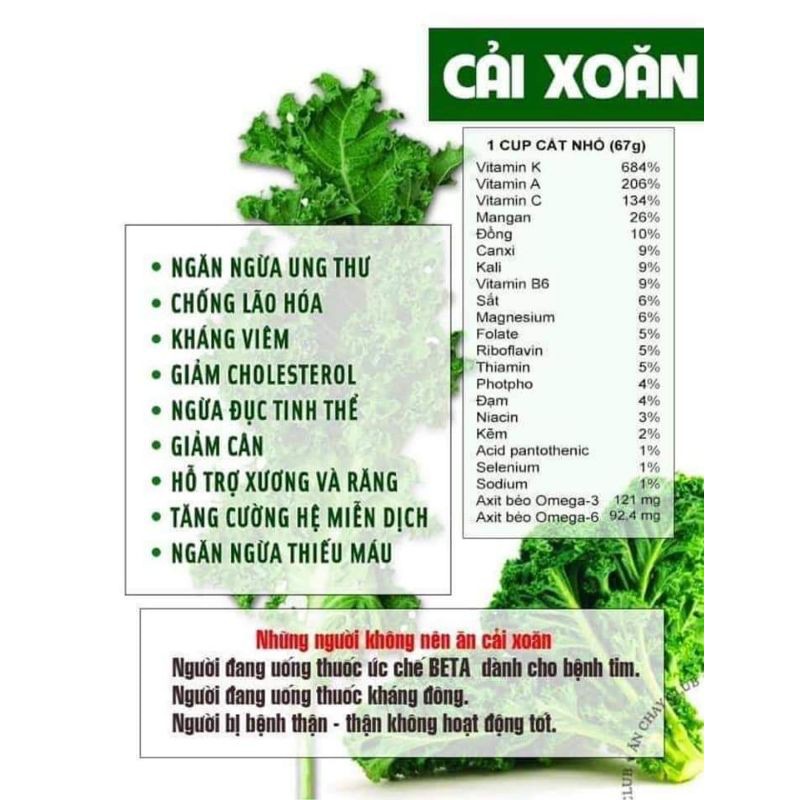 Combo hạt cải kale xoăn xanh Kale Bluebor Mỹ, màu xanh đến xanh ngọc đẹp, ngon dễ trồng và chịu nhiệt tốt