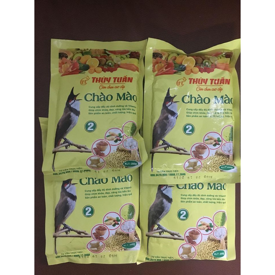 Cám chào mào Thúy Tuấn số 2