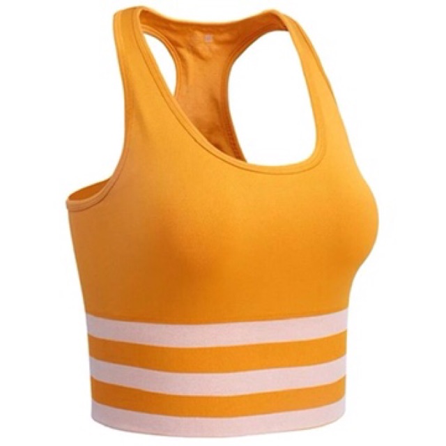 Xả Kho Bra tập gym cotton ba sọc 1867