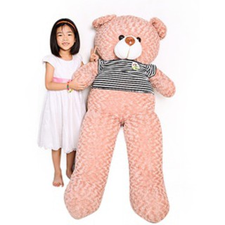 Gấu Teddy khổ vải m6