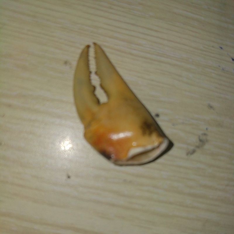 boongtaicàngcua.....