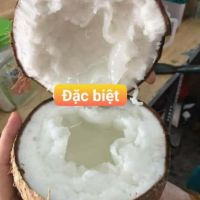 Dừa sáp