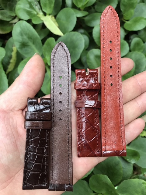 Dây đồng hồ da cá sấu size 20