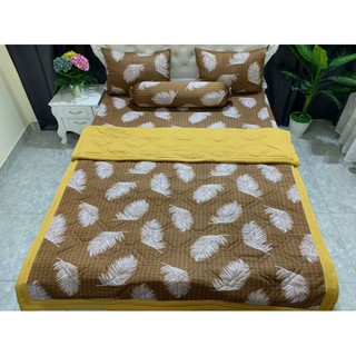 Bộ mền thun hàn quốc m6 (không phối,2 mặt như nhau)