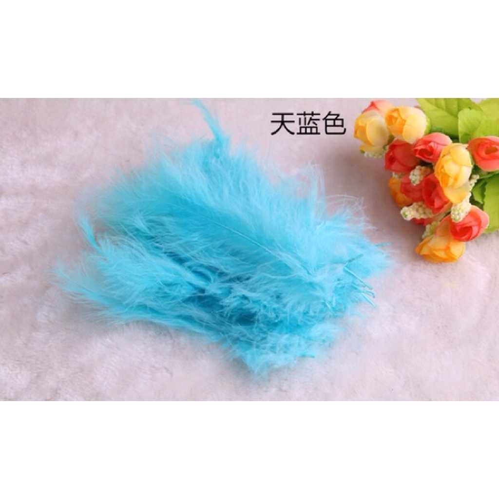 Bộ 100 Lông Vũ Tự Nhiên Nhiều Màu Sắc Làm Đồ Thủ Công DIY