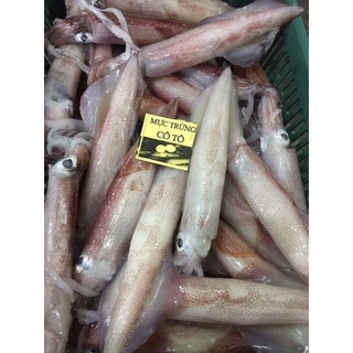 Mực trứng câu Cô Tô 500g