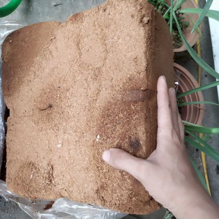 sơ dừa đóng bánh đã sử lý(5kg,70lít)