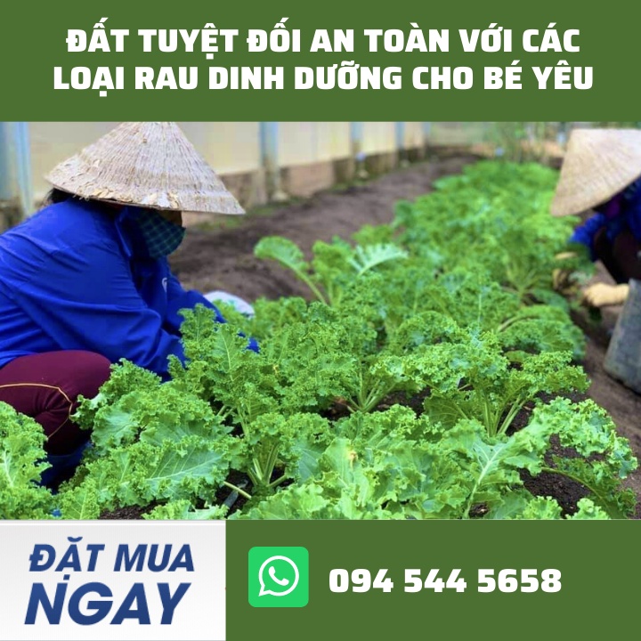 Đất Vi Sinh-Đất Chuyên Dụng Trồng Rau Sạch Và Các Loại Hoa Kiểng, Quy Cách 50dm3. Giao Hàng Miễn Phí Nội Thành Từ 20 Bao