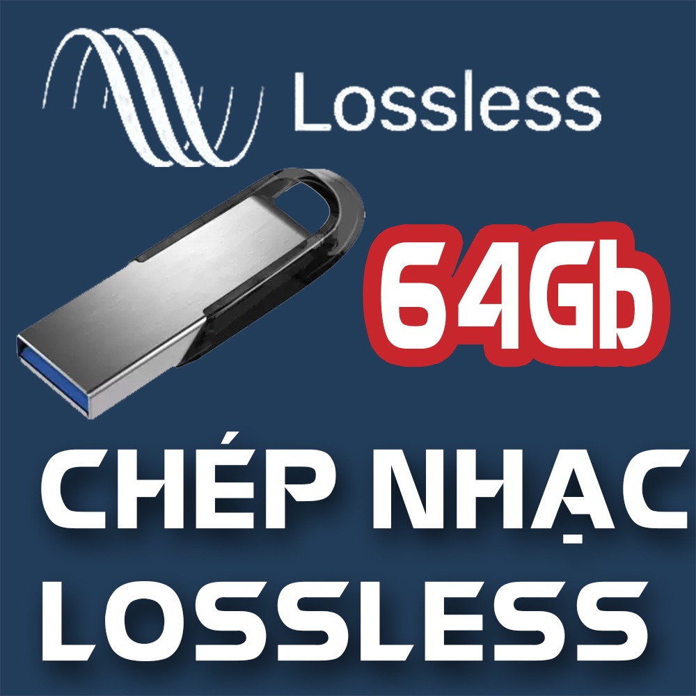 Chép nhạc chất lượng cao  - Bán kèm thiết bị lưu trữ USB
