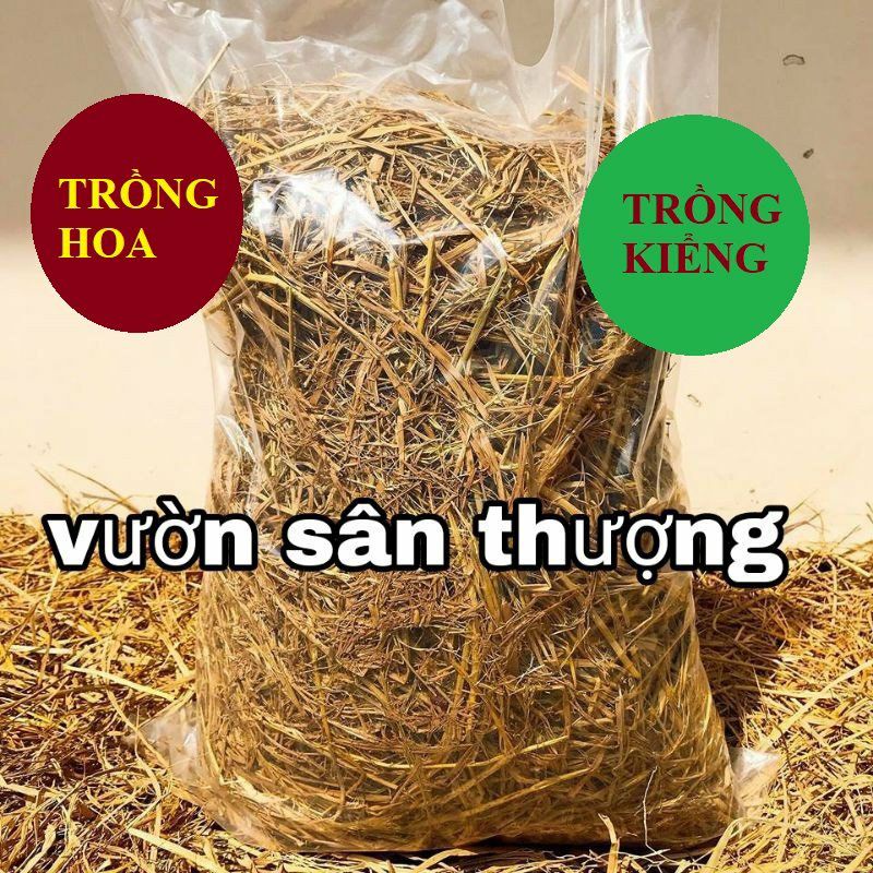 500gr RƠM KHÔ TỰ NHIÊN  VÙNG LÚA BẠC LIÊU