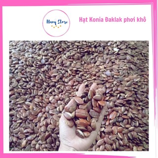 Hạt Kơnia Loại đẹp, Hạt Chọn Kỷ, Đặc Sản Tây Nguyên - Túi 500gr