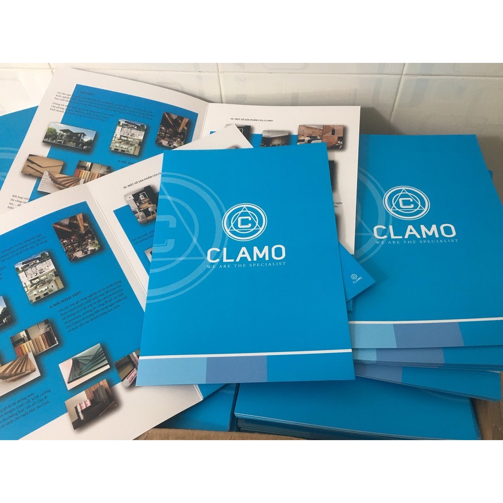In Folder A4- in Bìa đựng hồ sơ in theo yêu cầu A4-In Bạch Dương