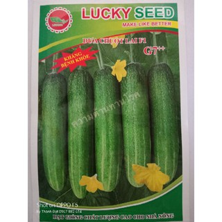 Hạt giống dưa chuột lai F1 Thái Lan G7 ( gr)