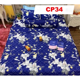 Set Chăn ga gối Cotton Poly 5 món CP06 siêu đẹp