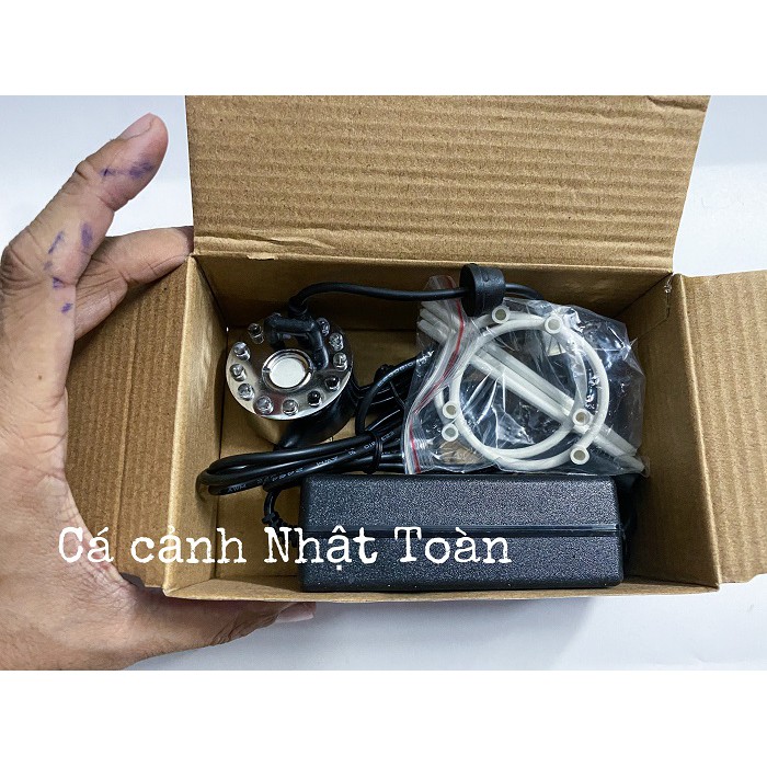 MÁY PHUN TẠO KHÓI HỒ CÁ NON BỘ KẾT HỢP ĐÈN NHIỀU MÀU
