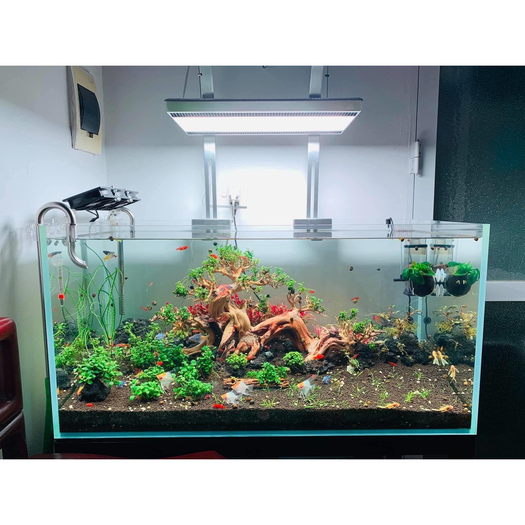 ĐÈN LED THỦY SINH WEEK ARK RGB