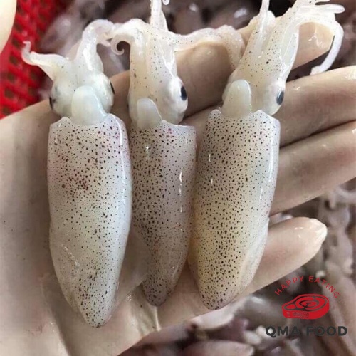 Mực Sim Trứng ❤HÀ NỘI ❤ khay 500g.- Rim Me, Xào, Hấp, Lẩu, Nướng