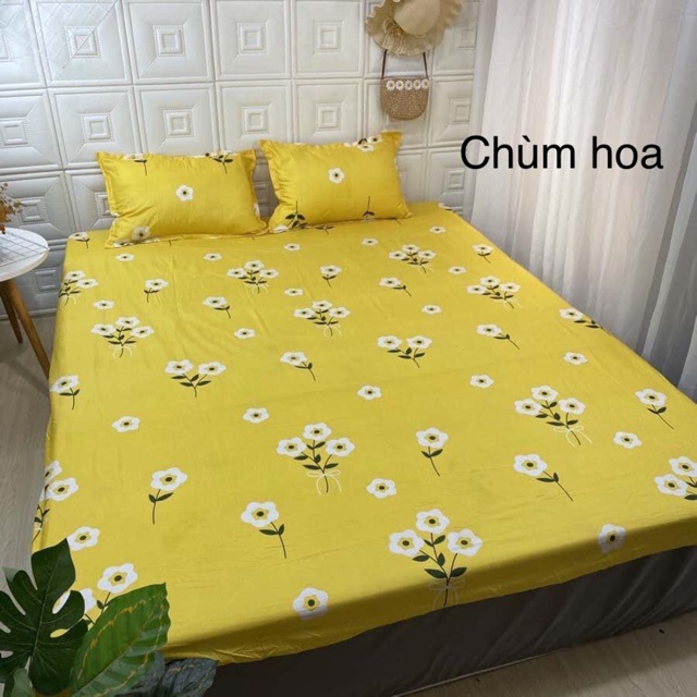 Bộ ga giường vỏ gối cotton poly (1 drap giường + 2 vỏ gối nằm) | BigBuy360 - bigbuy360.vn
