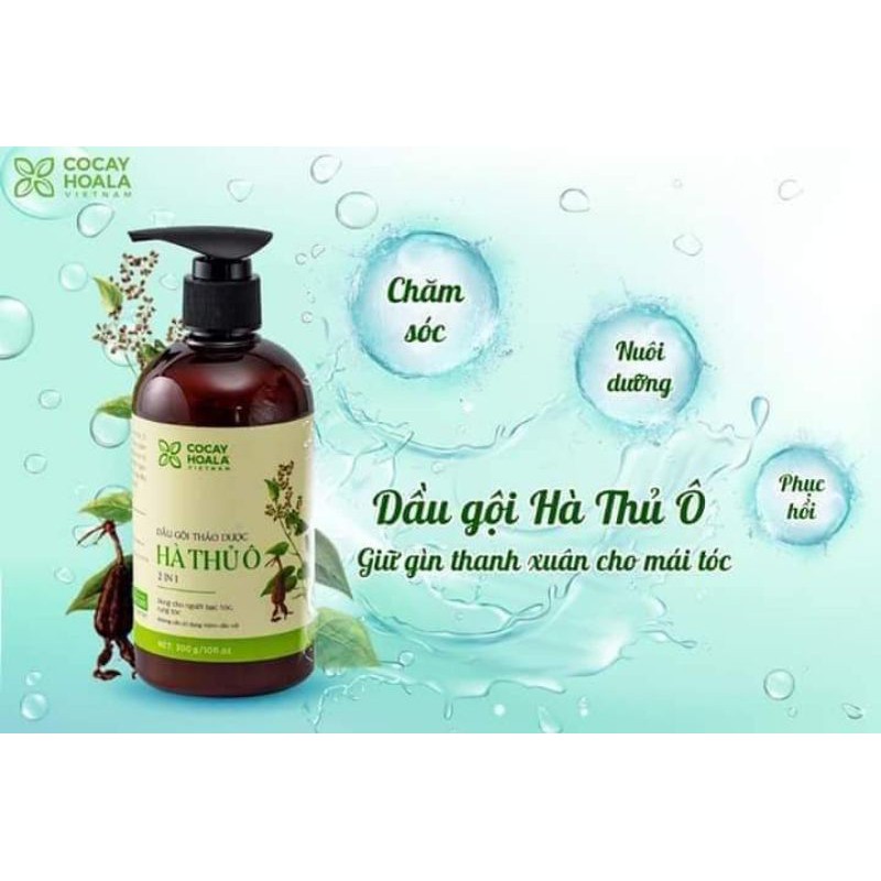 Dầu gội Hà Thủ Ô 2in1 chính hãng Cỏ Cây Hoa Lá 300ml