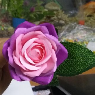 LÁ HỒNG GÂN