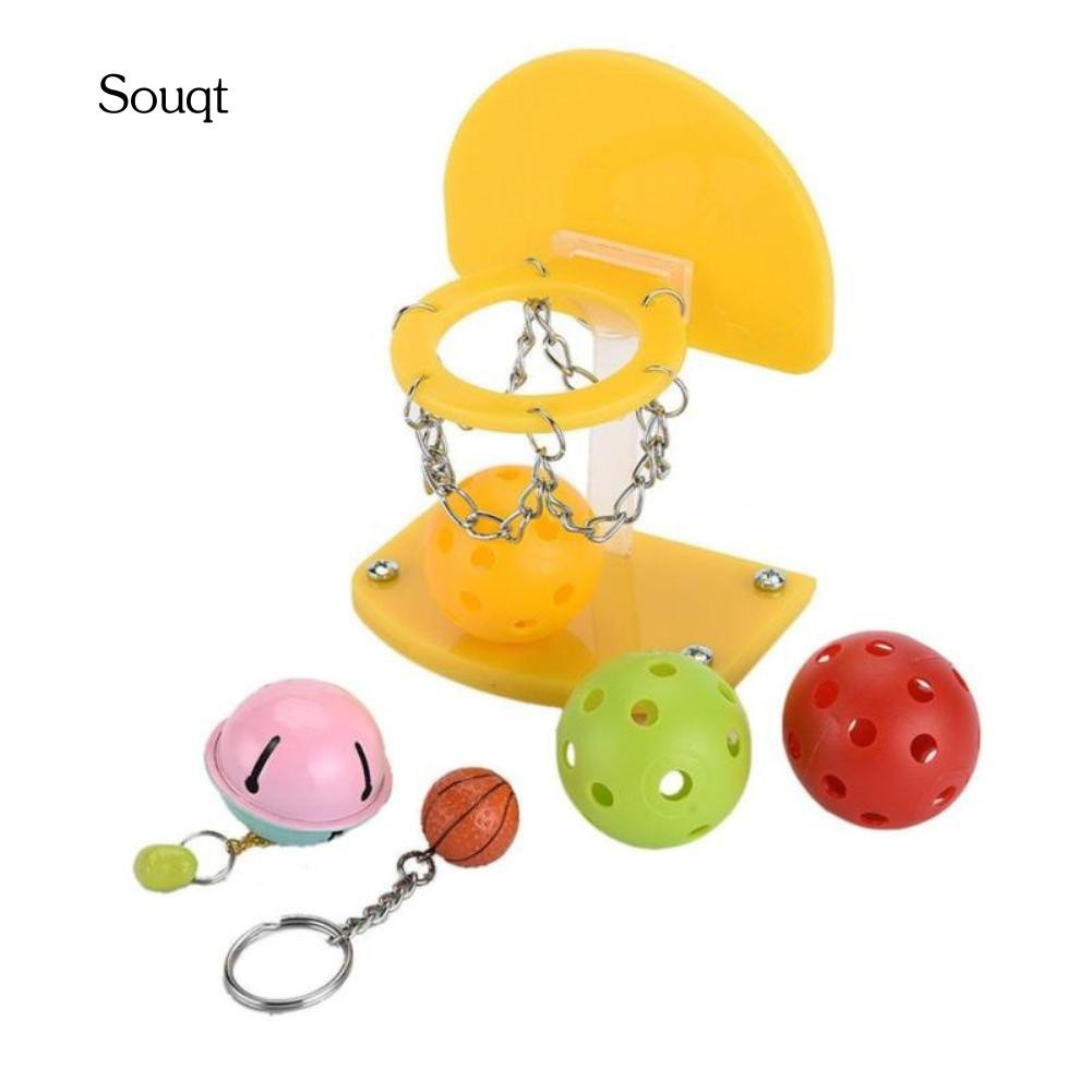 Giá Đứng Bóng Rổ Mini Cho Vẹt Cưng