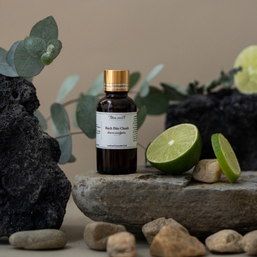 Tinh dầu Bạch Đàn Chanh | Tinh dầu thiên nhiên nguyên chất