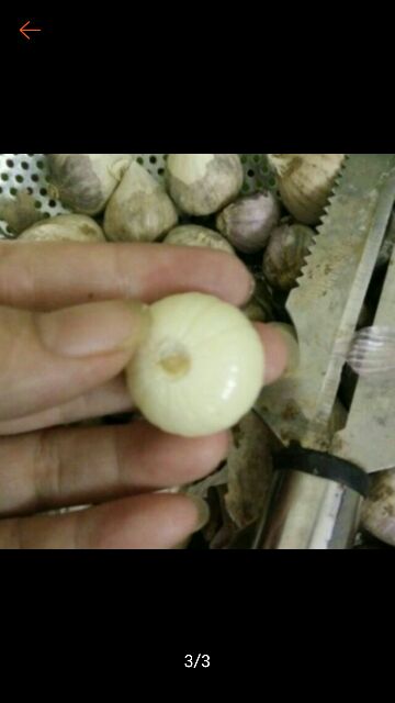 Tỏi cô đơn nha trang. Loại to dùng làm tỏi đen. 1kg. Hsd 12/22