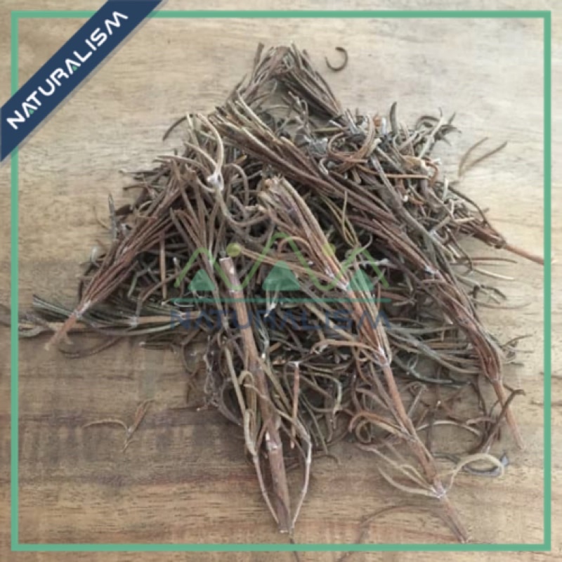 Cành Thảo Mộc Hương Thảo khô vụn Rosemary Lavender dùng đốt, xông ngâm cải thiện Trí Nhớ