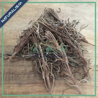 Cành Thảo Mộc Hương Thảo khô vụn Rosemary Lavender sage xô thơm tràm trà phong lữ dùng đốt, xông ngâm