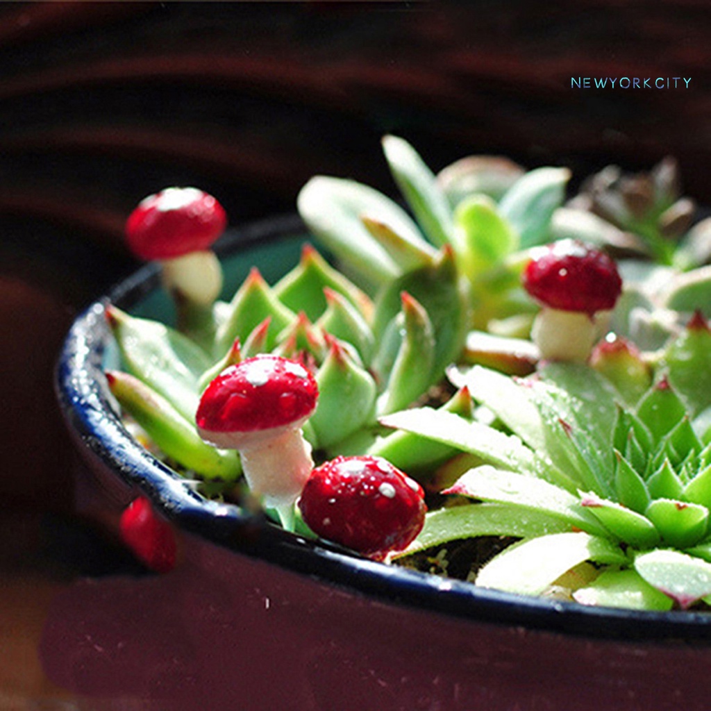 Set 20 Đồ trang trí Nấm Mini Trang Trí Sân Vườn